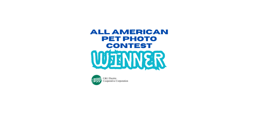 All American Pet Photo Contest Winner